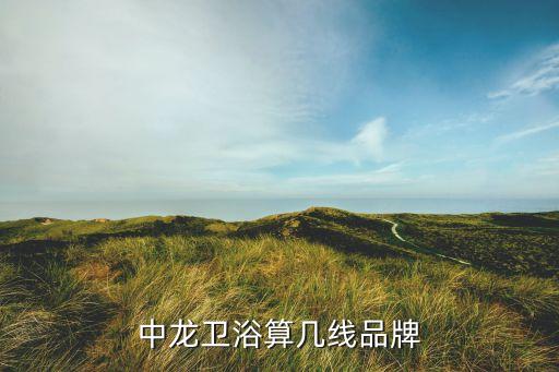 中龍衛(wèi)浴算幾線品牌