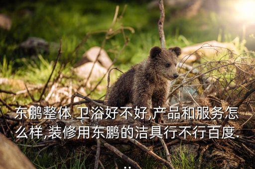 東鵬整體 衛(wèi)浴好不好,產(chǎn)品和服務(wù)怎么樣,裝修用東鵬的潔具行不行百度...