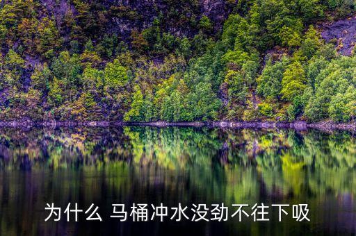 箭牌衛(wèi)浴馬桶水沖不下,馬桶堵塞怎么辦?可以用疏通器疏通
