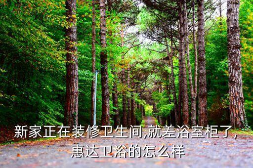 新家正在裝修衛(wèi)生間,就差浴室柜了, 惠達(dá)衛(wèi)浴的怎么樣