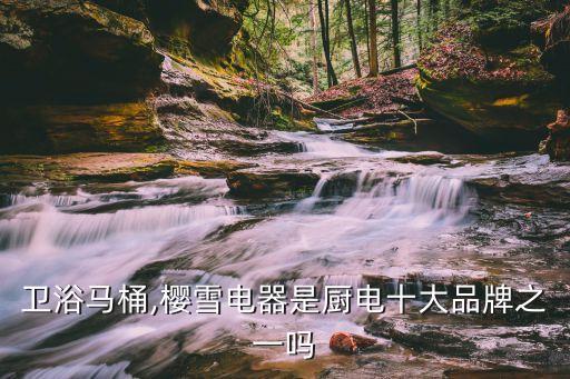 櫻雪衛(wèi)浴馬桶,櫻雪電器是廚電十大品牌之一嗎?