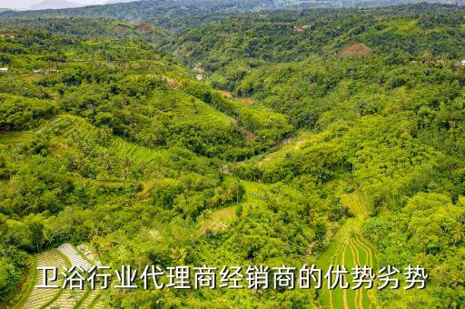 衛(wèi)浴行業(yè)代理商經(jīng)銷商的優(yōu)勢劣勢