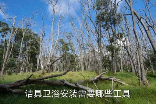 潔具衛(wèi)浴安裝需要哪些工具