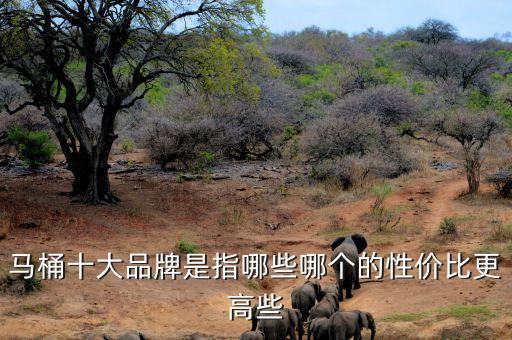 馬桶十大品牌是指哪些哪個的性價比更高些