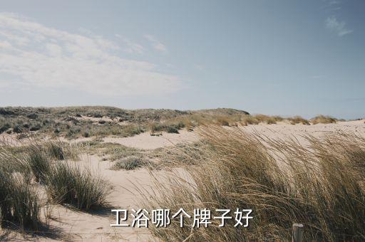 衛(wèi)浴哪個牌子好