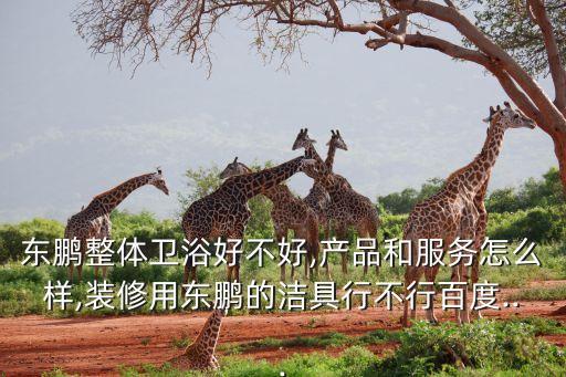 東鵬衛(wèi)浴衛(wèi)浴,2.東鵬衛(wèi)巴斯獲中國(guó)衛(wèi)浴行業(yè)十大影響力品牌