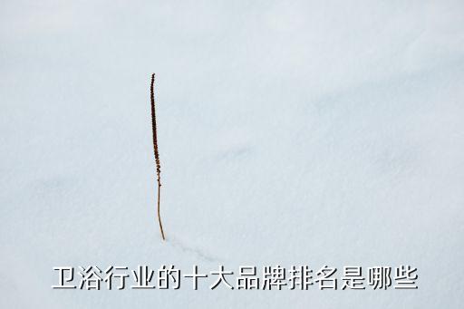 佛山市想象衛(wèi)浴,如何在衛(wèi)生間挑選合適的衛(wèi)生產(chǎn)品?