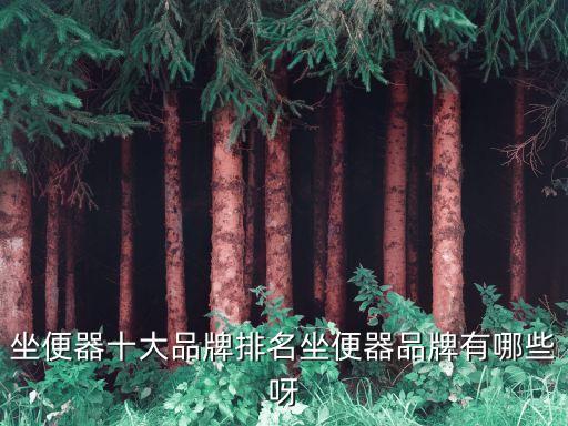 安華衛(wèi)浴馬桶構造,如何挑選安華馬桶?