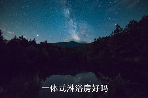 什么是一體式衛(wèi)浴,新時代衛(wèi)浴產(chǎn)品整體衛(wèi)浴裝修效果挺好的