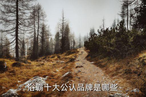 美的衛(wèi)浴官方網(wǎng)站,衛(wèi)生陶瓷浴霸你知道這里有什么?