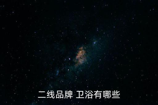 二線品牌 衛(wèi)浴有哪些