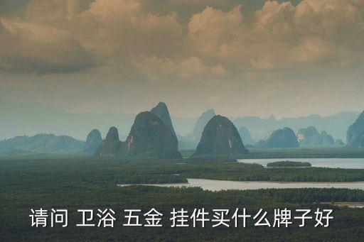 衛(wèi)浴五金掛件排名,中國網(wǎng)購衛(wèi)浴五金配件哪個牌子好?