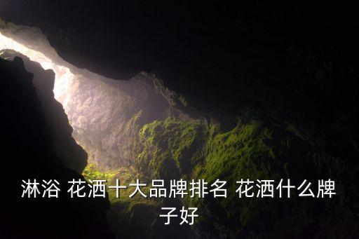 淋浴 花灑十大品牌排名 花灑什么牌子好