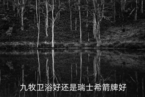 福建九牧王衛(wèi)浴董事長,全球衛(wèi)浴品牌排行榜