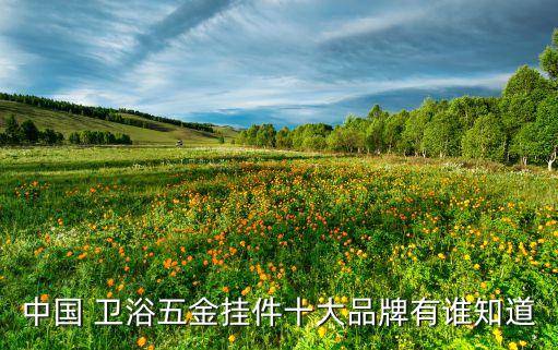 佛山市全友衛(wèi)浴有限公司 招聘,中國十大衛(wèi)浴品牌揭曉