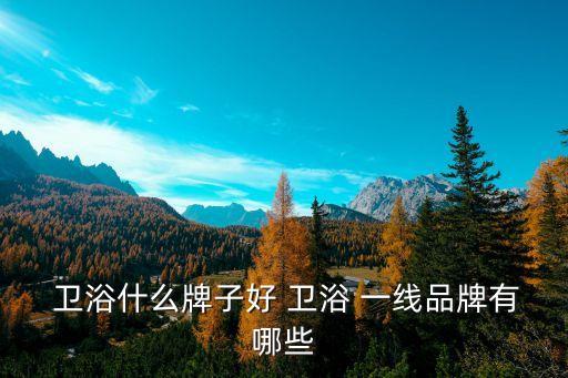  衛(wèi)浴什么牌子好 衛(wèi)浴 一線品牌有哪些