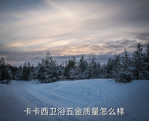 卡卡西衛(wèi)浴五金質量怎么樣