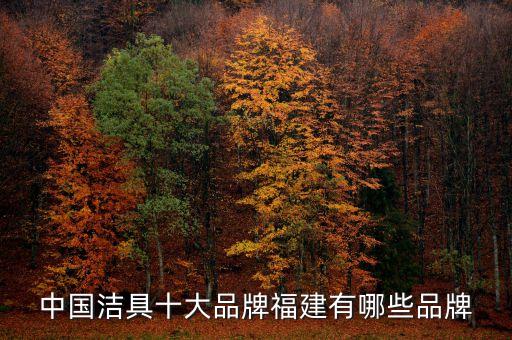 中國潔具十大品牌福建有哪些品牌