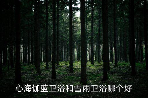 心海伽藍衛(wèi)浴和雪雨衛(wèi)浴哪個好