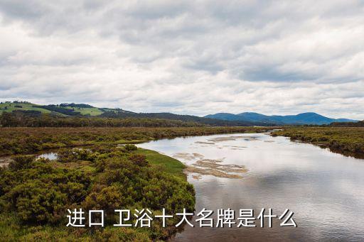進口 衛(wèi)浴十大名牌是什么