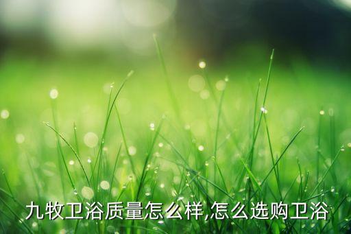  九牧衛(wèi)浴質(zhì)量怎么樣,怎么選購衛(wèi)浴