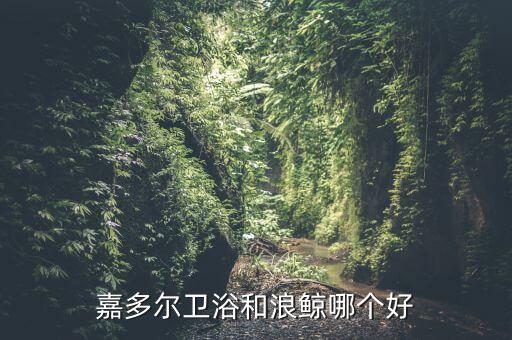 浪鯨衛(wèi)浴南寧評測,浪鯨衛(wèi)浴價(jià)格實(shí)惠售后服務(wù)良好