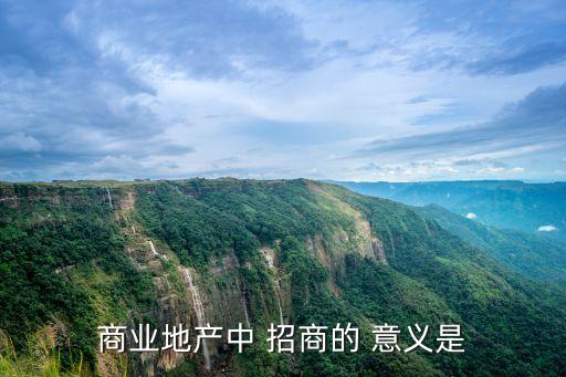 商業(yè)地產(chǎn)中 招商的 意義是