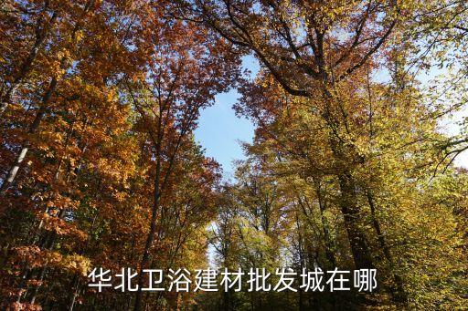 華北衛(wèi)浴建材批發(fā)城在哪