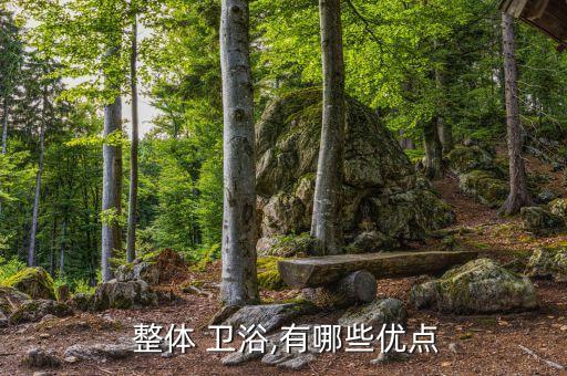  整體 衛(wèi)浴,有哪些優(yōu)點