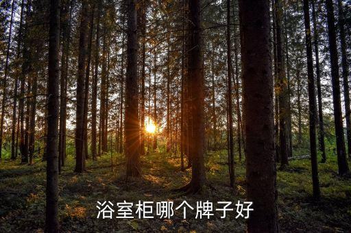 郎都衛(wèi)浴,現(xiàn)在浴室柜品牌太多花灑出水模式也不一樣