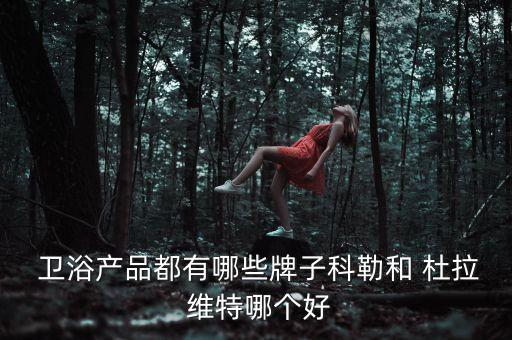  衛(wèi)浴產(chǎn)品都有哪些牌子科勒和 杜拉 維特哪個好