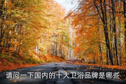 請問一下國內(nèi)的十大衛(wèi)浴品牌是哪些