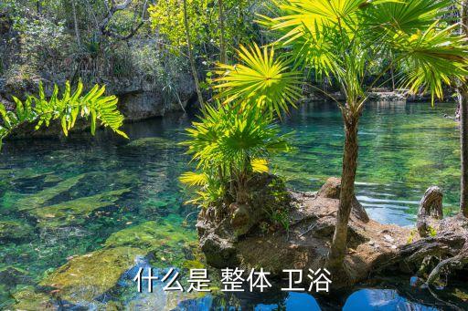 整體衛(wèi)浴研發(fā),西屋是中國(guó)整體衛(wèi)浴廠商可關(guān)注銀禧樓