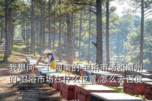 我想問一下 河南的 衛(wèi)浴市場和潮州的 衛(wèi)浴市場在什么位置,怎么去百度...