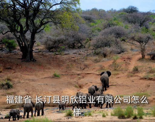 長(zhǎng)汀 衛(wèi)浴,福建長(zhǎng)汀明鑫鋁業(yè)有限公司2006年8月注冊(cè)成立