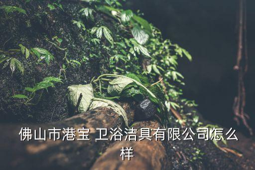  佛山市港寶 衛(wèi)浴潔具有限公司怎么樣