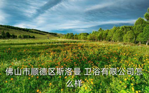 佛山市順德區(qū)斯洛曼 衛(wèi)浴有限公司怎么樣