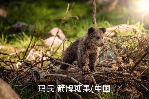 箭牌衛(wèi)浴昆明,mars箭牌糖果有限公司昆明分公司注冊(cè)成立