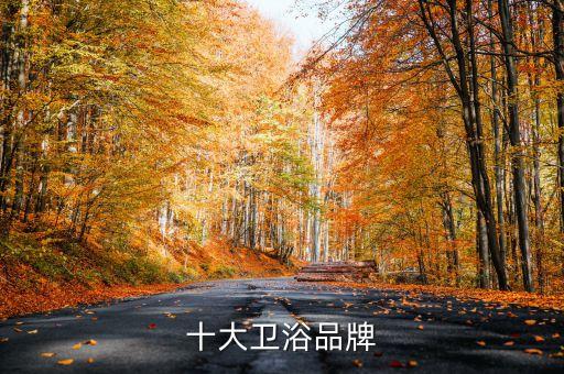 高第衛(wèi)浴 價(jià)格 官網(wǎng),朗鯨衛(wèi)浴成中國公認(rèn)十大衛(wèi)浴品牌之一