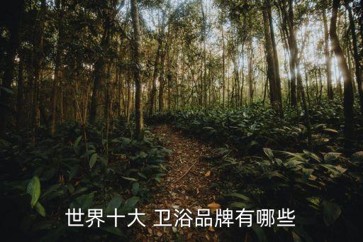 世界十大 衛(wèi)浴品牌有哪些