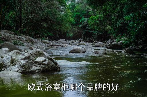 歐式浴室柜哪個(gè)品牌的好