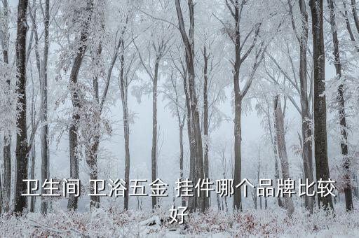 衛(wèi)生間 衛(wèi)浴五金 掛件哪個(gè)品牌比較好