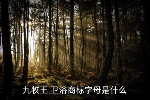 衛(wèi)浴的logo,衛(wèi)生陶瓷logo設(shè)計好不好?看這里!