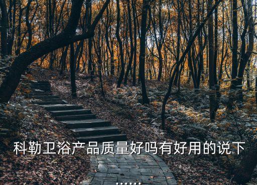 科勒衛(wèi)浴好不好做,朋友推薦我買(mǎi)科勒衛(wèi)浴超好用!