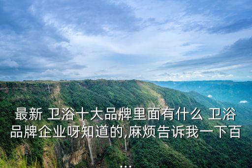 最新 衛(wèi)浴十大品牌里面有什么 衛(wèi)浴品牌企業(yè)呀知道的,麻煩告訴我一下百...