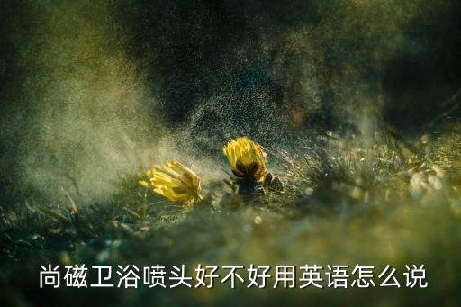  尚磁衛(wèi)浴噴頭好不好用英語(yǔ)怎么說(shuō)