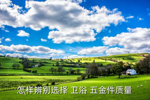 怎樣辨別選擇 衛(wèi)浴 五金件質(zhì)量
