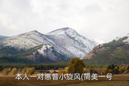 本人一對(duì)惠普小旋風(fēng)(簡(jiǎn)美一號(hào)