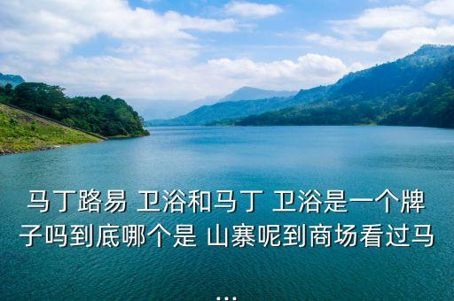 馬丁路易 衛(wèi)浴和馬丁 衛(wèi)浴是一個(gè)牌子嗎到底哪個(gè)是 山寨呢到商場(chǎng)看過(guò)馬...