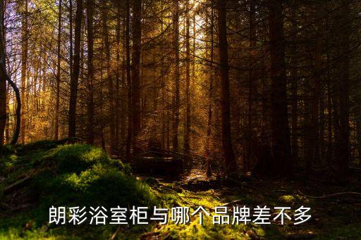 實木衛(wèi)浴柜廠家,彩虹衛(wèi)浴有限公司獲業(yè)界認可產品質量獲認可